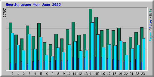 Hourly usage for June 2025