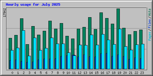 Hourly usage for July 2025