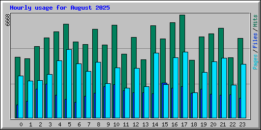 Hourly usage for August 2025