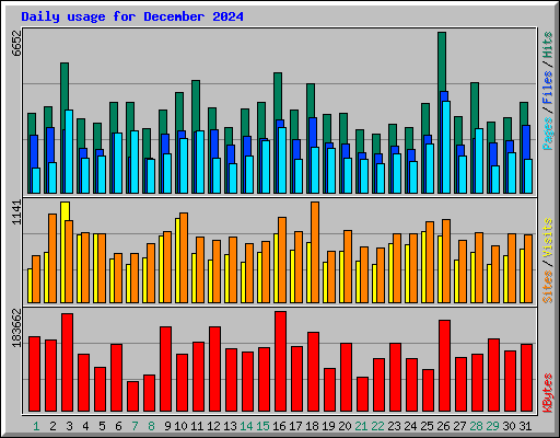 Daily usage for December 2024