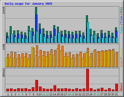Daily usage for January 2025