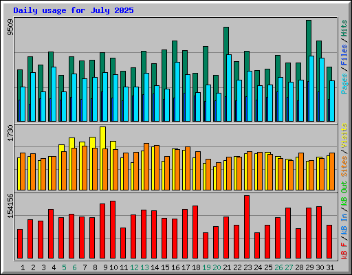 Daily usage for July 2025
