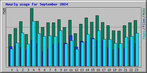 Hourly usage for September 2024