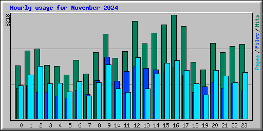 Hourly usage for November 2024