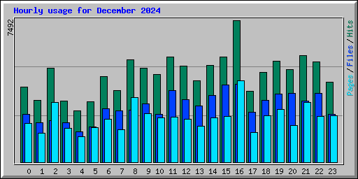 Hourly usage for December 2024