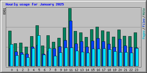 Hourly usage for January 2025