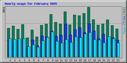 Hourly usage for February 2025
