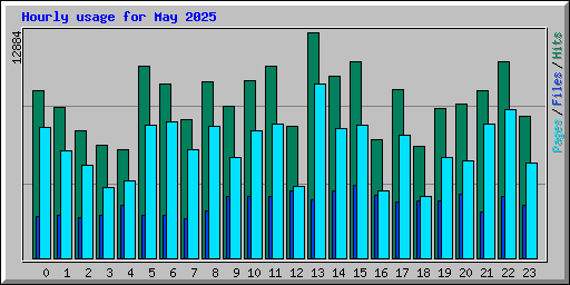 Hourly usage for May 2025