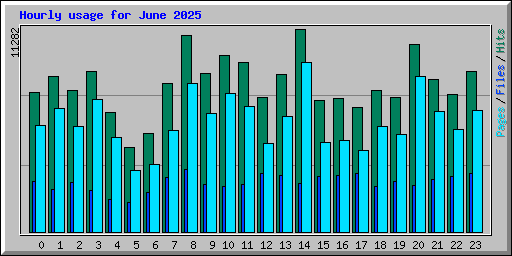 Hourly usage for June 2025