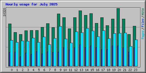 Hourly usage for July 2025