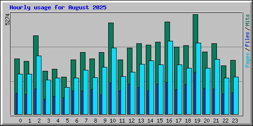 Hourly usage for August 2025