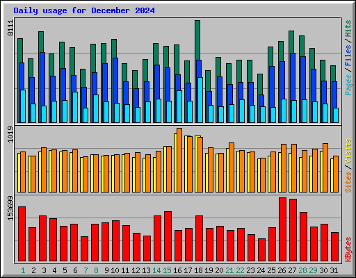 Daily usage for December 2024