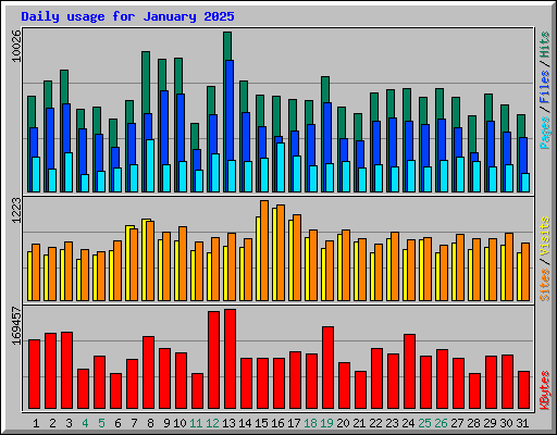 Daily usage for January 2025