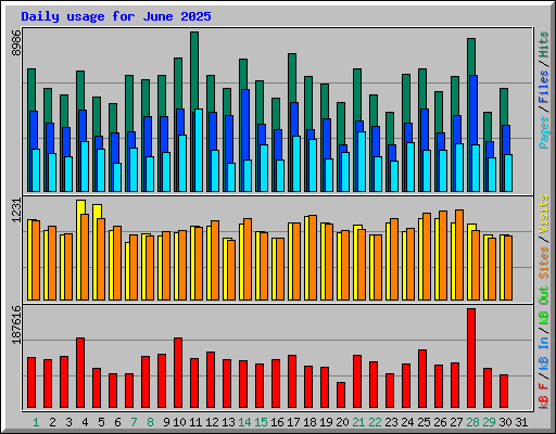 Daily usage for June 2025