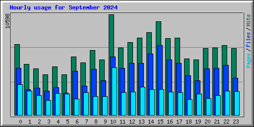 Hourly usage for September 2024