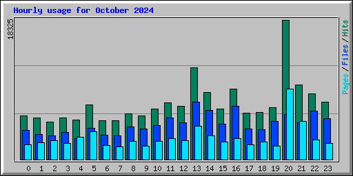 Hourly usage for October 2024