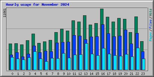 Hourly usage for November 2024