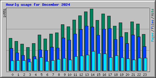 Hourly usage for December 2024