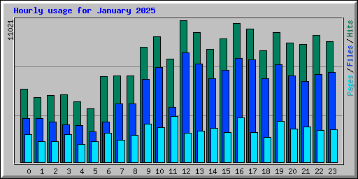 Hourly usage for January 2025