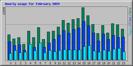 Hourly usage for February 2025