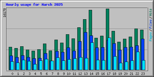 Hourly usage for March 2025