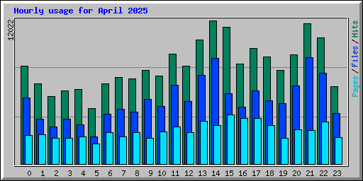 Hourly usage for April 2025
