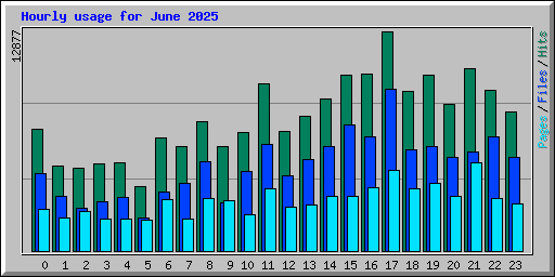 Hourly usage for June 2025