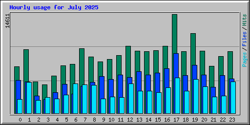 Hourly usage for July 2025