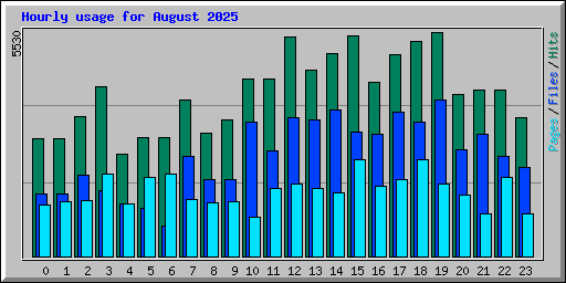 Hourly usage for August 2025