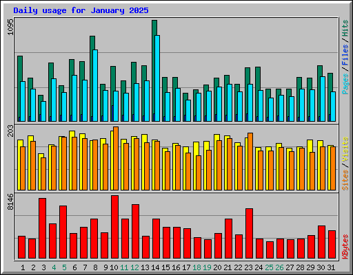 Daily usage for January 2025