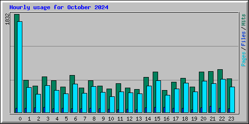 Hourly usage for October 2024