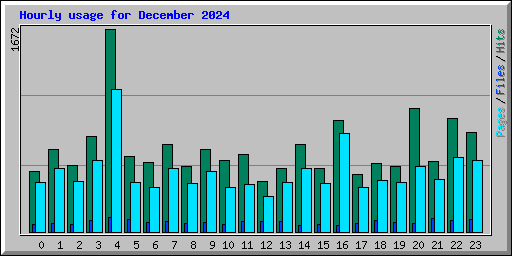 Hourly usage for December 2024