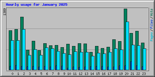 Hourly usage for January 2025