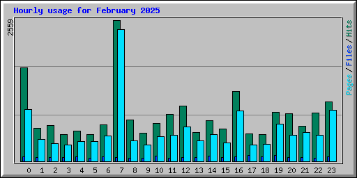 Hourly usage for February 2025