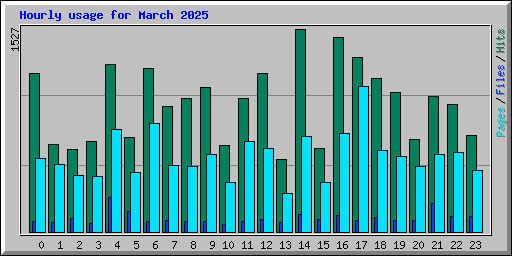 Hourly usage for March 2025