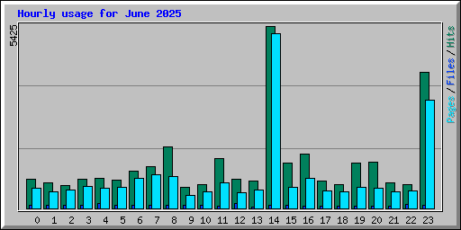 Hourly usage for June 2025