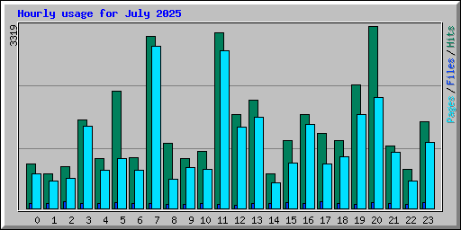 Hourly usage for July 2025