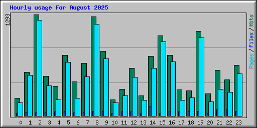 Hourly usage for August 2025