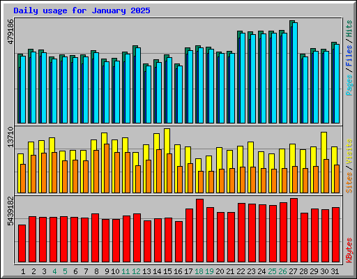 Daily usage for January 2025
