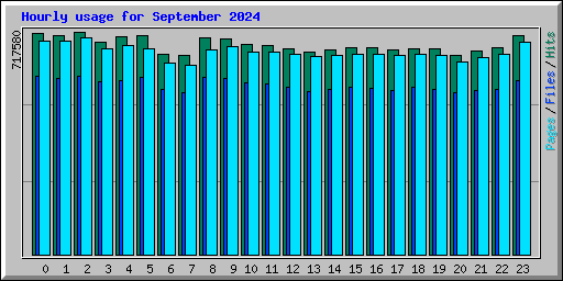 Hourly usage for September 2024