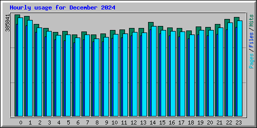 Hourly usage for December 2024