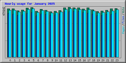 Hourly usage for January 2025