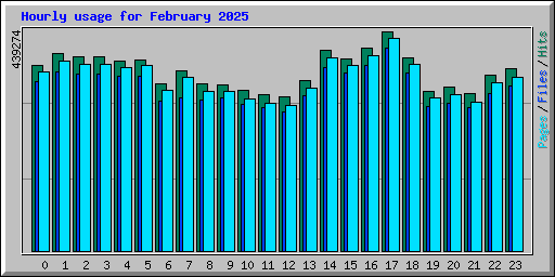 Hourly usage for February 2025