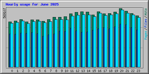 Hourly usage for June 2025