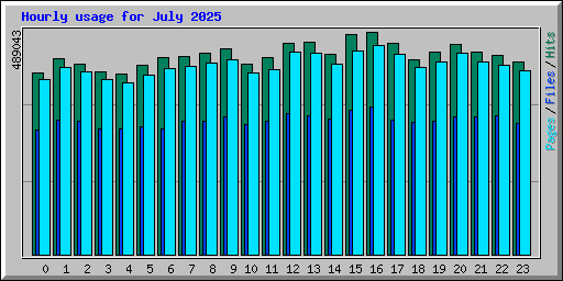 Hourly usage for July 2025
