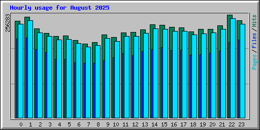Hourly usage for August 2025