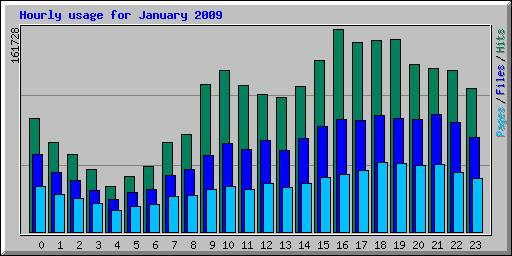 Hourly usage for January 2009