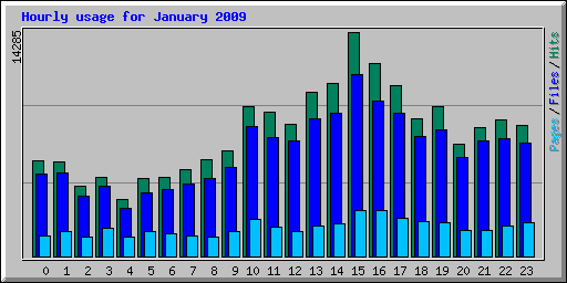 Hourly usage for January 2009