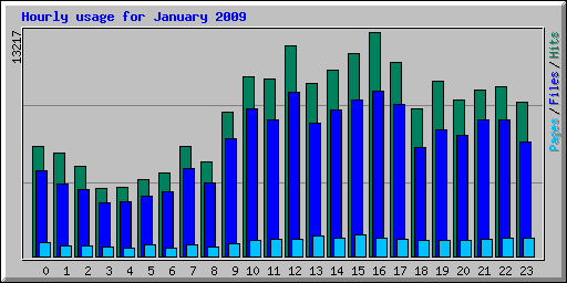 Hourly usage for January 2009