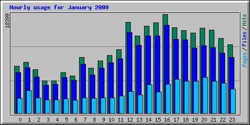 Hourly usage for January 2009